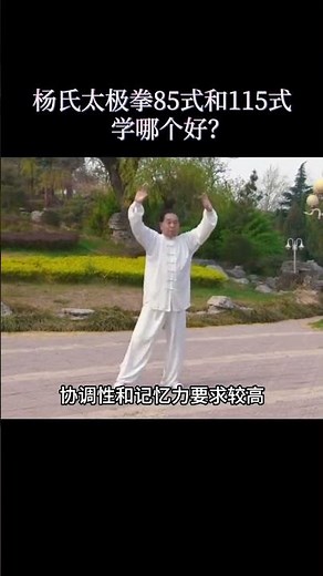 Understanding the Nuances of Yang Style Tai Chi and choosing the right path for your practice