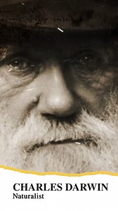 37K views · 214 reactions | Darwin’s Theory of Evolution is the most famous and most controversial scientific theory ever developed. So, what happened when it was first published? | Weird History | Facebook