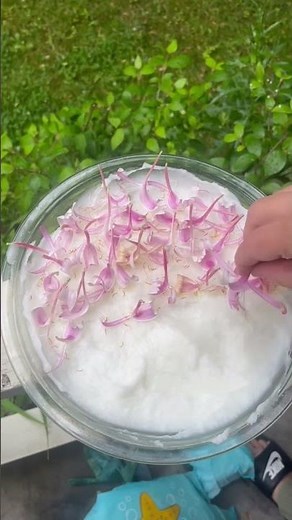 Enfleurage (Honeysuckle & Coconut Oil) #shorts