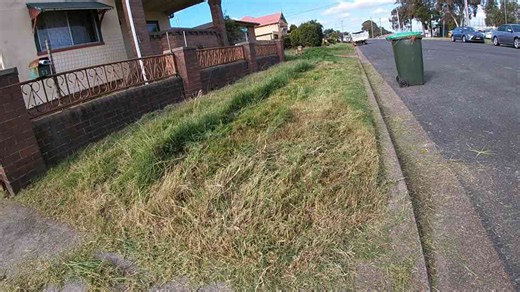 Watch a yard change completely in record time