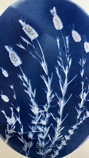 Gemini Season Celebration with Lavender Cyanotype Photography