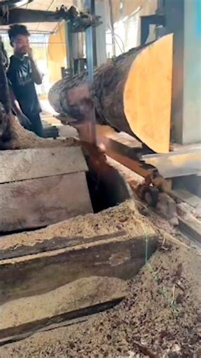 #sawmill #loglumder