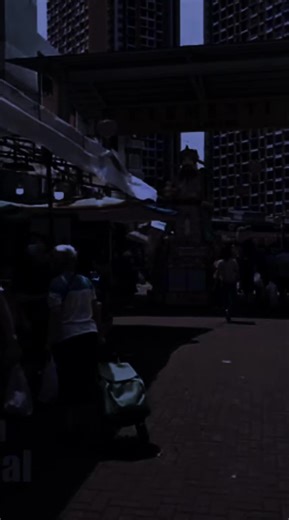 Understanding Virgo Traits and Characteristics