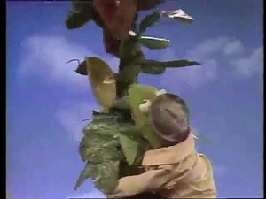 Classic Sesame Street - News Flash Jack And The Beanstalk Full Version HQ 1977