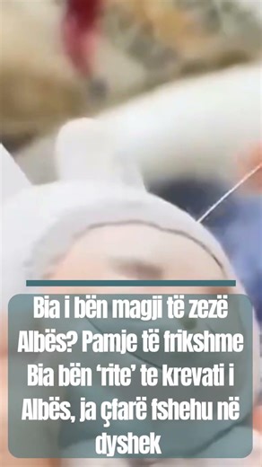 Bia bën ‘rite’ te krevati i Albës, ja çfarë fshehu në dyshek