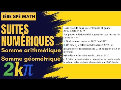 Exercice type BAC sur les suites géométriques