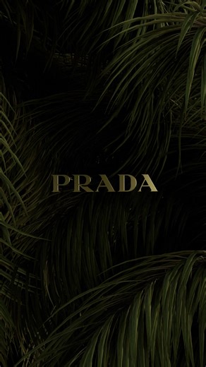 Illuminate this Ramadan with Prada Paradoxe Intense, the feminine fragrance by Prada. | Prada Beauty
