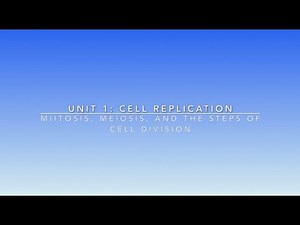 Mitosis, Meiosis and the Steps of Cell Division | Lime the Tutor | Premed Anatomy and Physiology