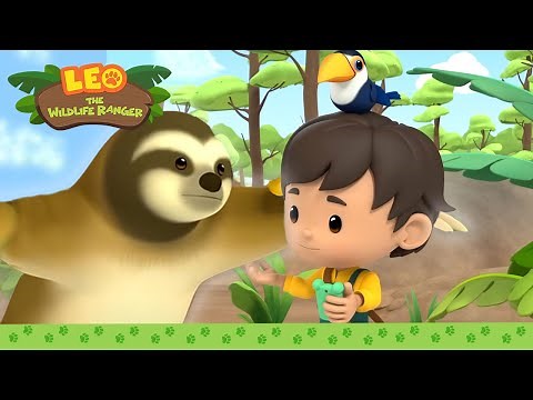 A SLOTH that can move in a FLASH?! 🏎️⚡ | Three-toed Sloth | Leo the Wildlife Ranger | Kids Cartoons