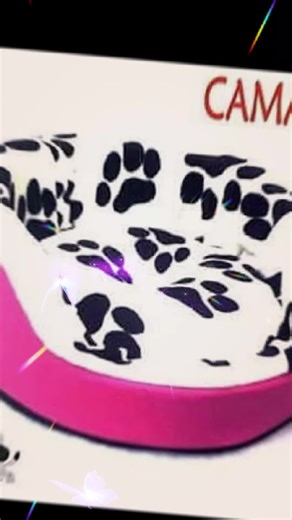 carolina garzon on TikTok