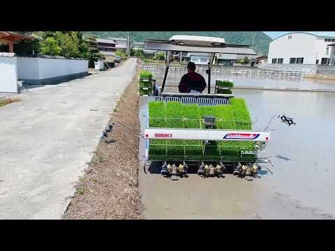 Paddy transplanter machine I rice transplanter machine I Dhan lagane ka machine