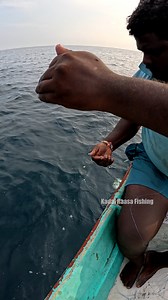 19K views · 118 reactions | "Ultimate Guide to Catching Trevally in Deep Sea Fishing Using Live Prawns" #fishing #trevally #fish | Kadal Raasa Fishing | Facebook