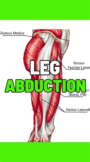 Quintin - Sports Performance Specialist on Instagram: "Comment “GUIDE” to download my free guide breaking down this nervous system training system This leg abduction drill from BJ Penn’s camp looks simple, but the intent is everything. Marv Marinovich wasn’t trying to build static hip strength here. He was training elastic control and rapid force re-expression through the hip and oblique sling. By forcing the leg down eccentrically and demanding an immediate rebound, the nervous system learns to