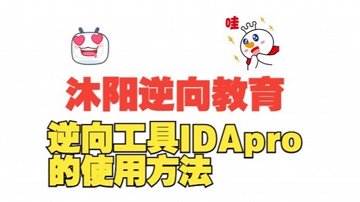 59.逆向工具IDApro的使用方法