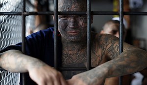 World's Most Dangerous Street Gang Now Has a Presence in Australia