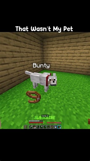That Wasn't My Pet #minecraft
