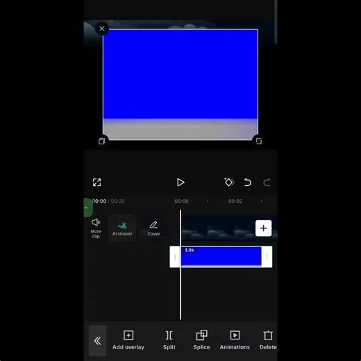CapCut Editing: Time Lapse vs Final Result