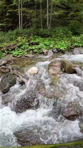 The most beautiful waterfall view - very energetic #short #nature #beautiful #mountains #travel