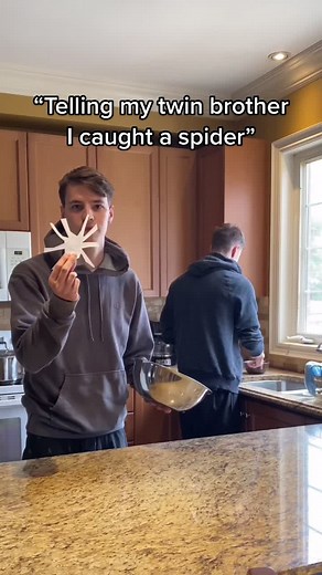 Twin Brother's Spider Panic Prank