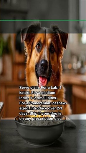 Spaghetti for Dogs: Safe Portions Every Indian Owner Should Know #shorts