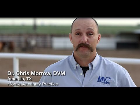 Alfa-Pro Complete Cube Horse Feed by Hi-Pro Feeds