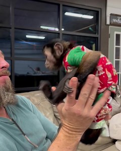 Oliver can twerk too🤣 | Our Life Adventures