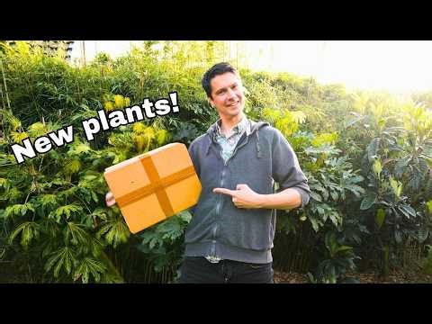 5 New plants for tricky conditions