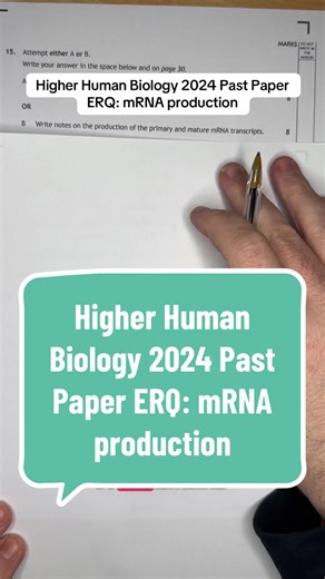 Higher Human Biology 2024: mRNA Production Explained