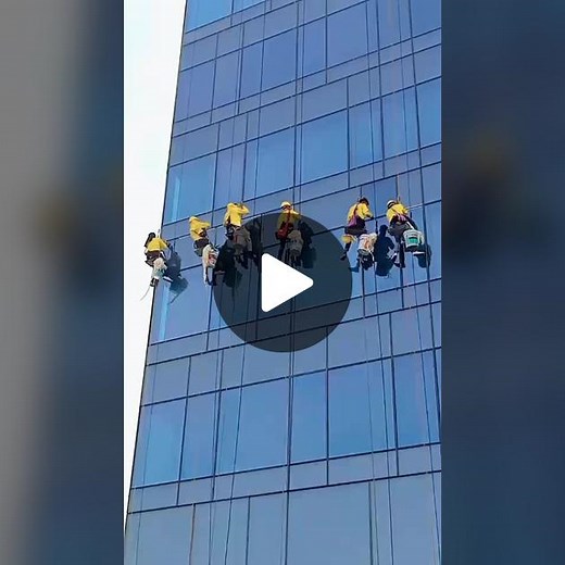 Professional Window Cleaning Team in Action