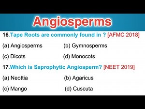 Angiosperms MCQs - Most repeated questions