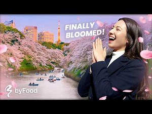 Tokyo's ULTIMATE Cherry Blossom Itinerary 🌸