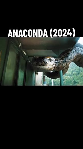 Anaconda (2024) Movie: Chinese Snake Terror Series