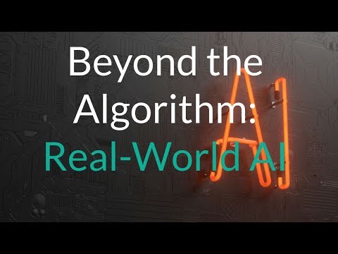 Beyond the Algorithm: Real-World AI