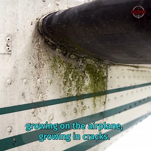 15K views · 181 reactions | Our Airplane Gets Its First Wash In 17 Years... | Rebuild Rescue | Facebook