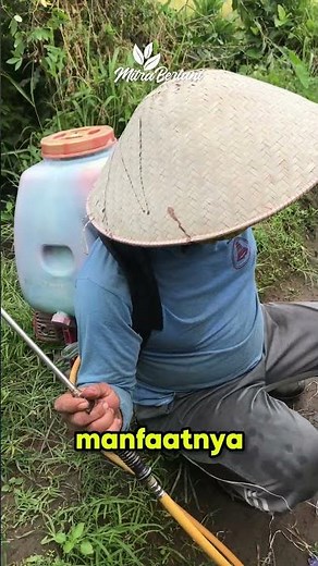 THE MOST EFFECTIVE WAY TO APPLY HUMIC ACID #agriculture #proudtobeafarmer #farmers #youngfarmers ...