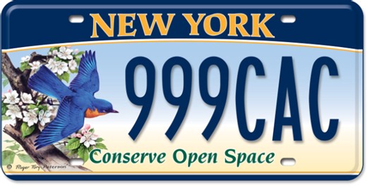 What New York allows — and rejects — on vanity license plates