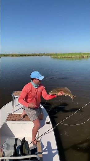 Fly fishing for redfish in the marsh