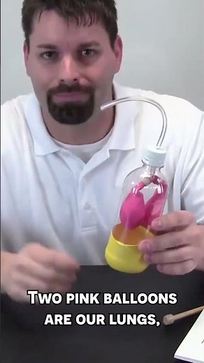 How Our Lungs Work 🫁