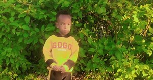 Search for 3-year-old missing in Ontario park continues