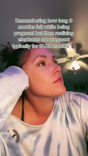 Fascinating Elephant Pregnancy Facts Revealed!