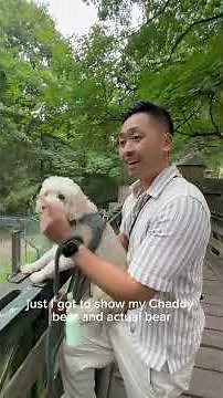 Dog friendly zoo - Netherlands 🇳🇱