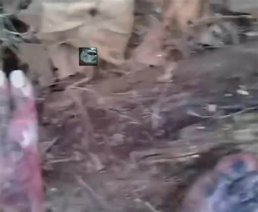 76K views · 467 reactions | Qué extraña criatura es la que graba este video de un aparente "tutorial"? es una #bruja, un #hombrelobo un #zombie? observen sus horribles manos y pies. | Yo quiero Creer | Facebook