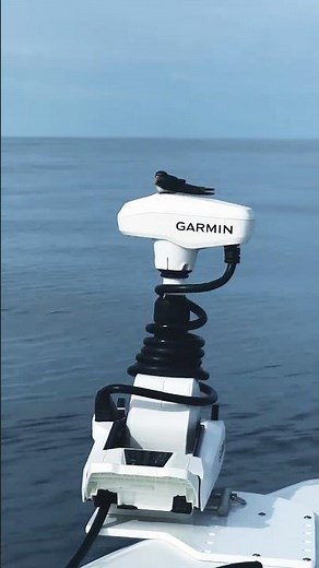 Beak position | Force Kraken trolling motor | Garmin