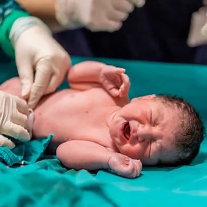 1.2K reactions · 477 shares | Can you take 30 seconds to sign a pledge against new laws that strip away protections for the unborn? President Biden and Vice President Harris have pledged their support of expanding abortion and forcing taxpayers to pay for it. Say, “As a Christian, I stand against the new laws that strip away protections for the unborn." | Care Net | Facebook