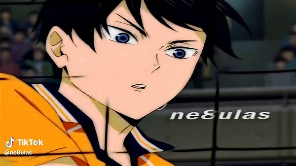 Identifying Haikyuu Favorite Characters in Love Like Malibu