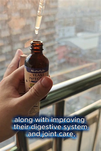 Effective Treatment for Pet Yeast Infections