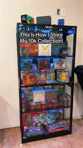 Display Your Collection with LED Lighting Solutions