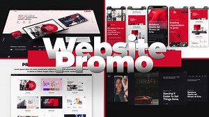 Flex Website Promo