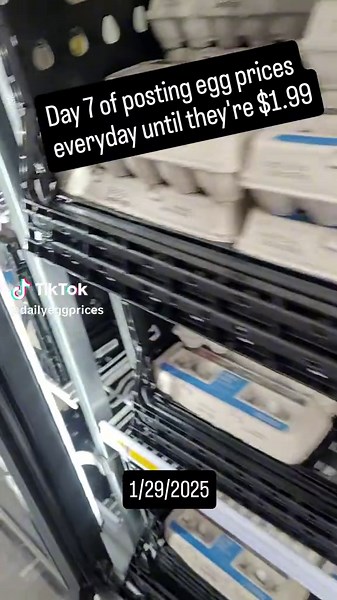 Daily Egg Price Update: Tracking Costs Until $1.99