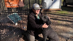 A dog jumped out of an RV in Georgia. Here's how people rallied to rescue him and get him home